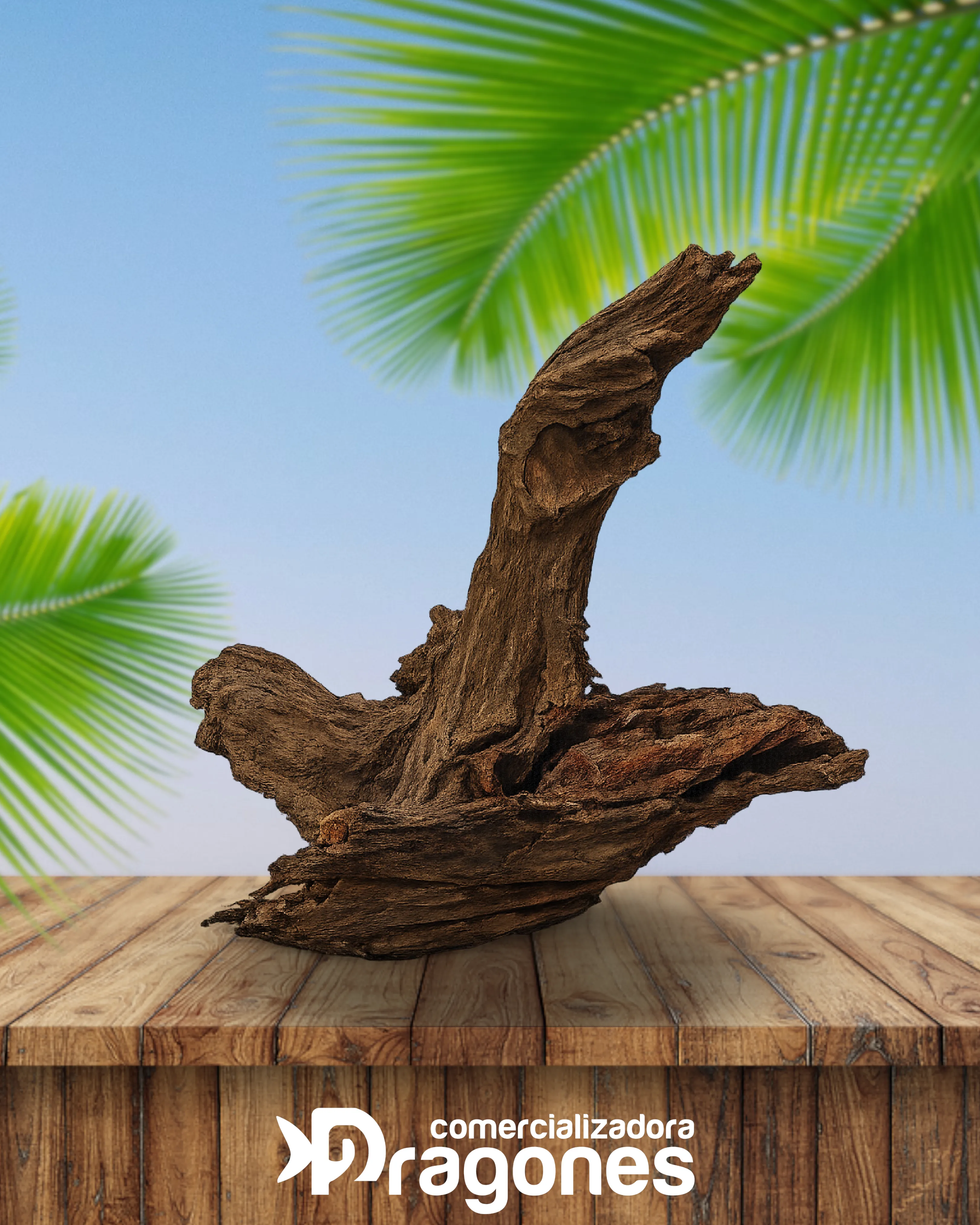 Tronco de mangle y manzanita