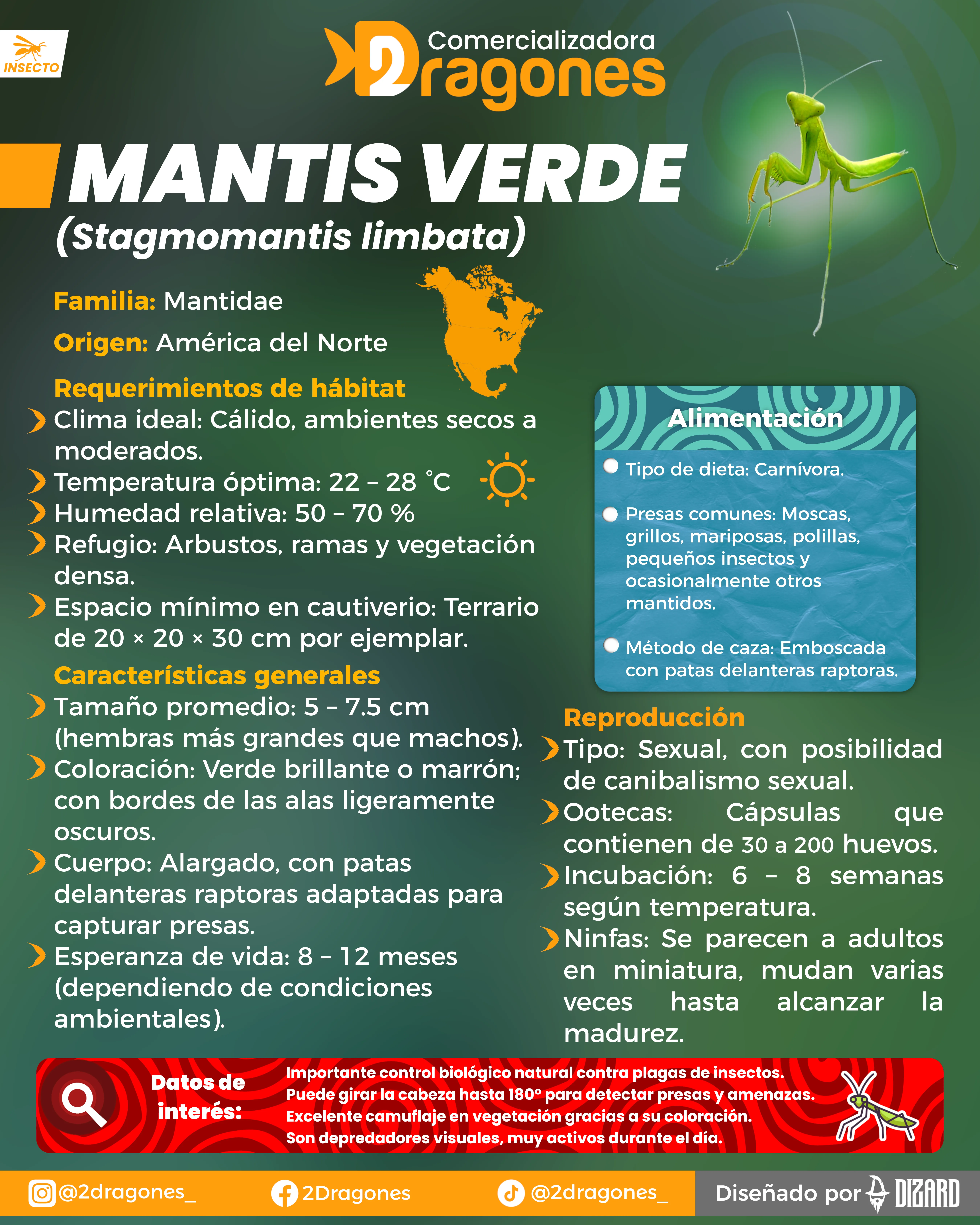 Infografia 1