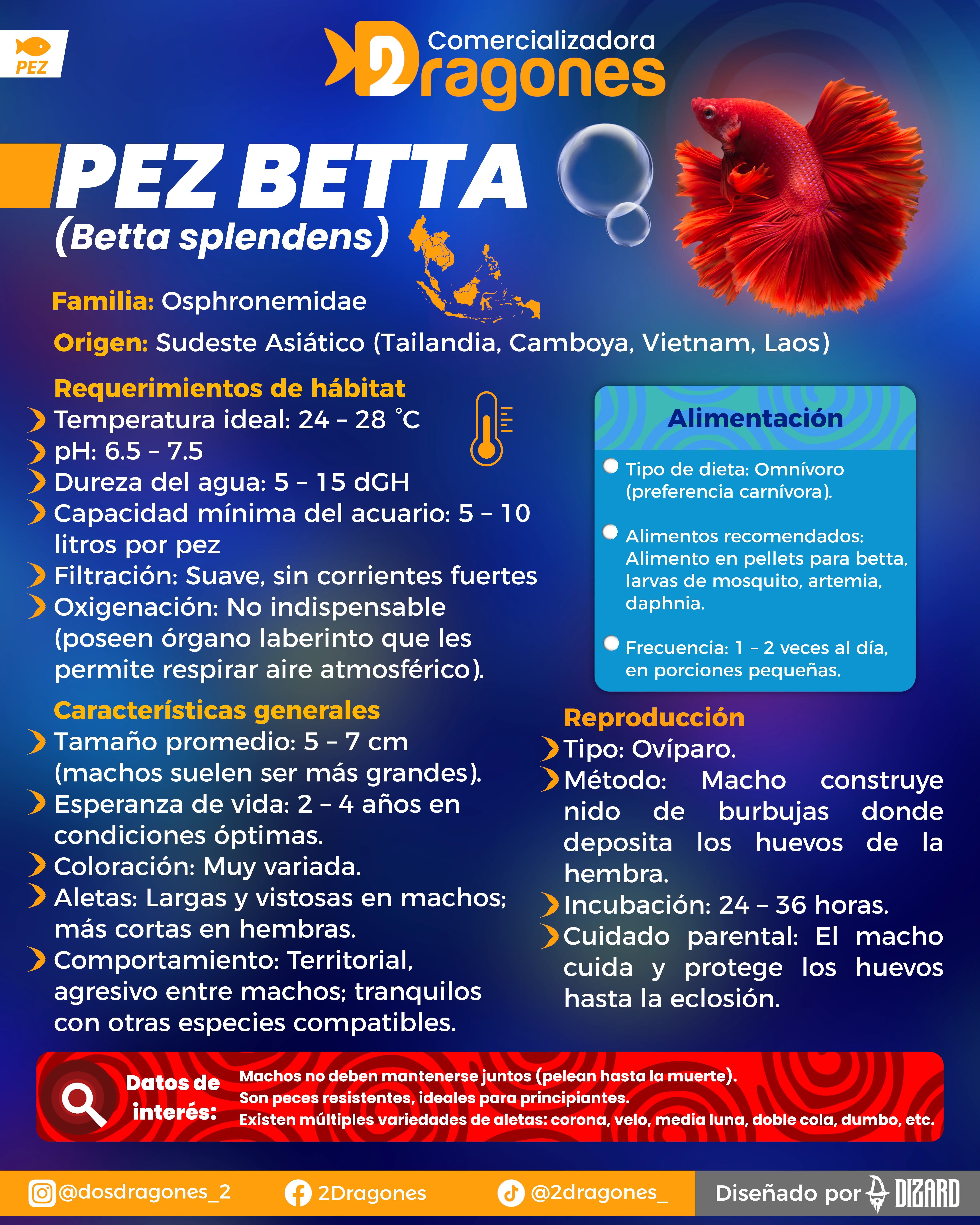 Infografia 1