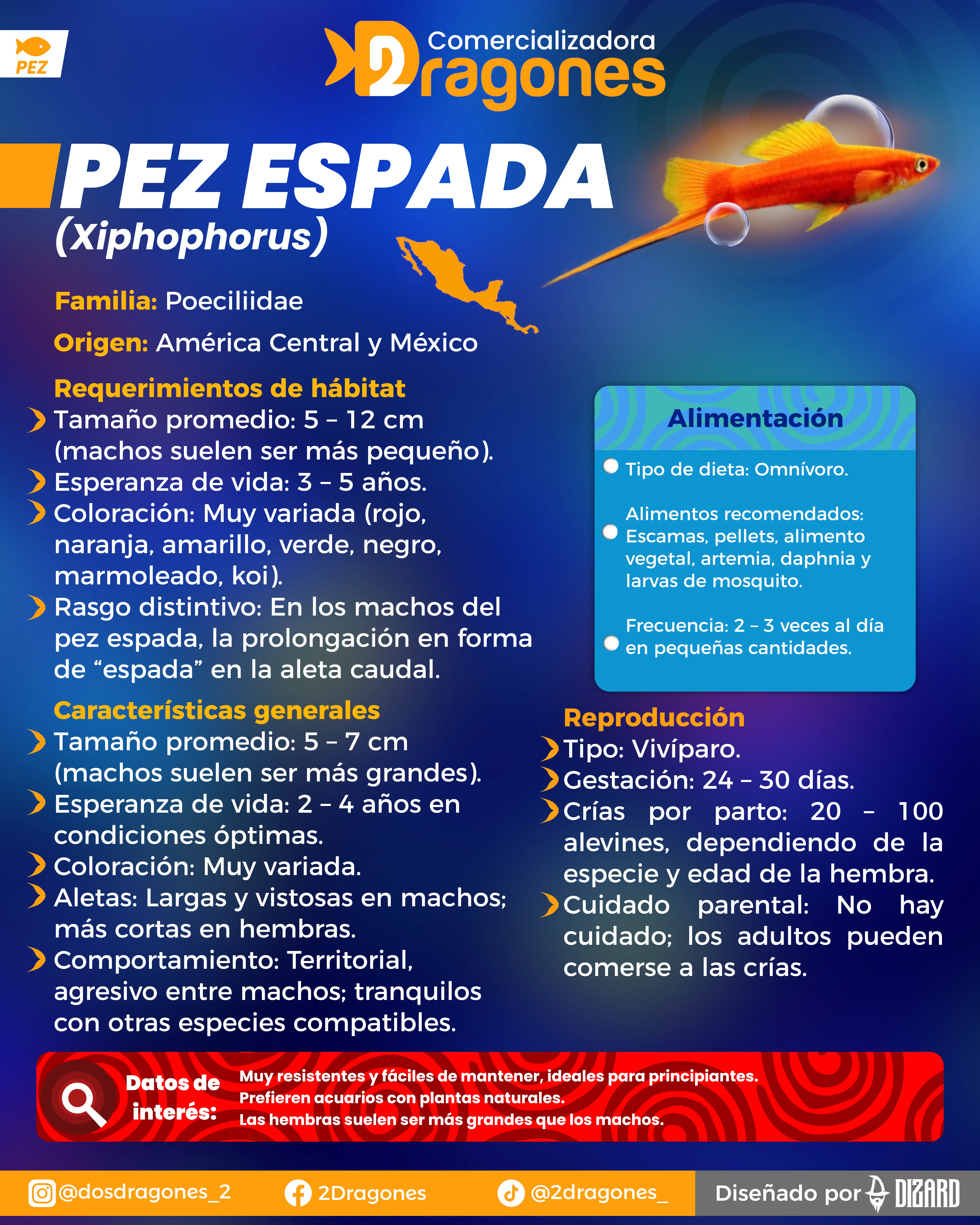 Infografia 2