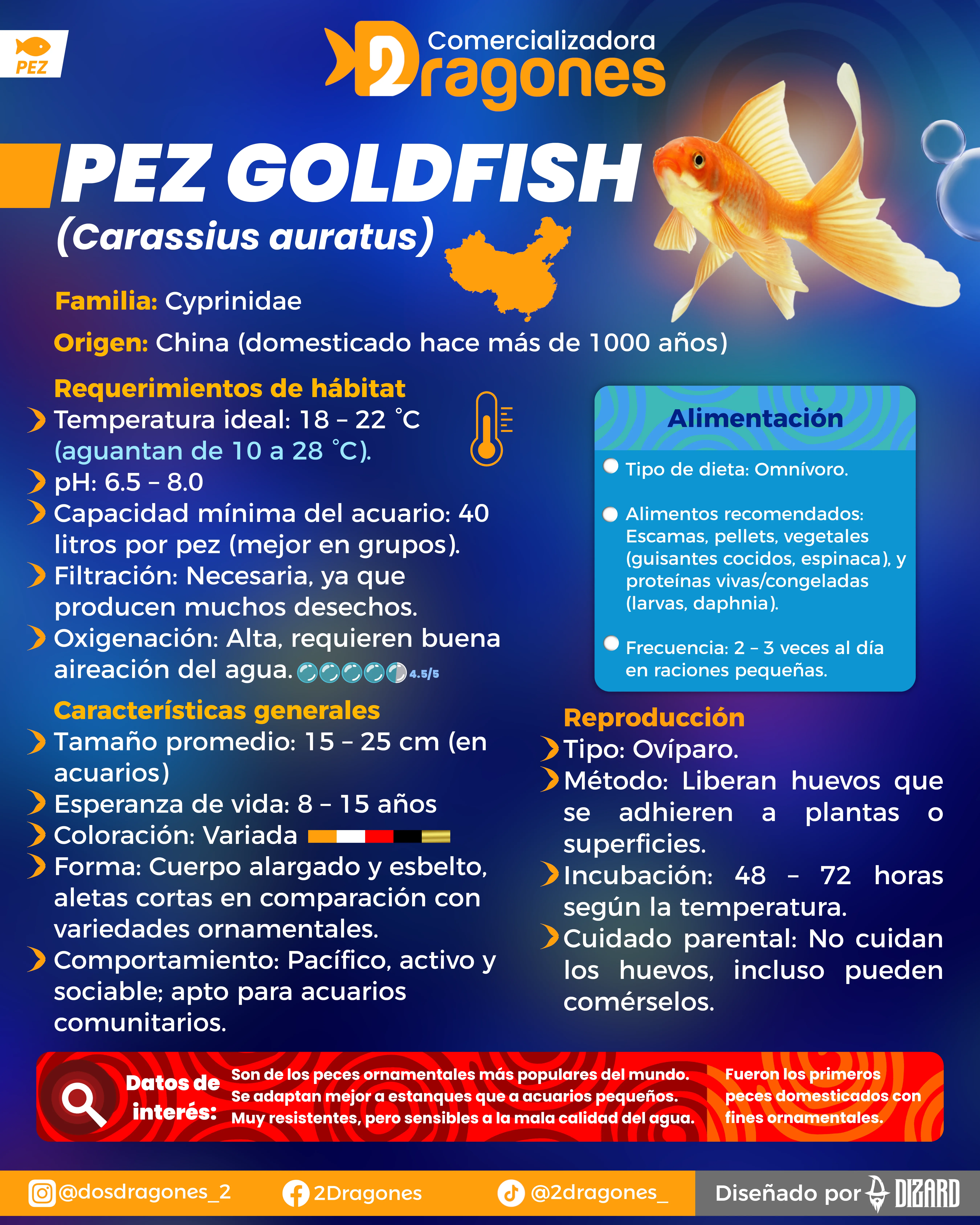 Infografia 3