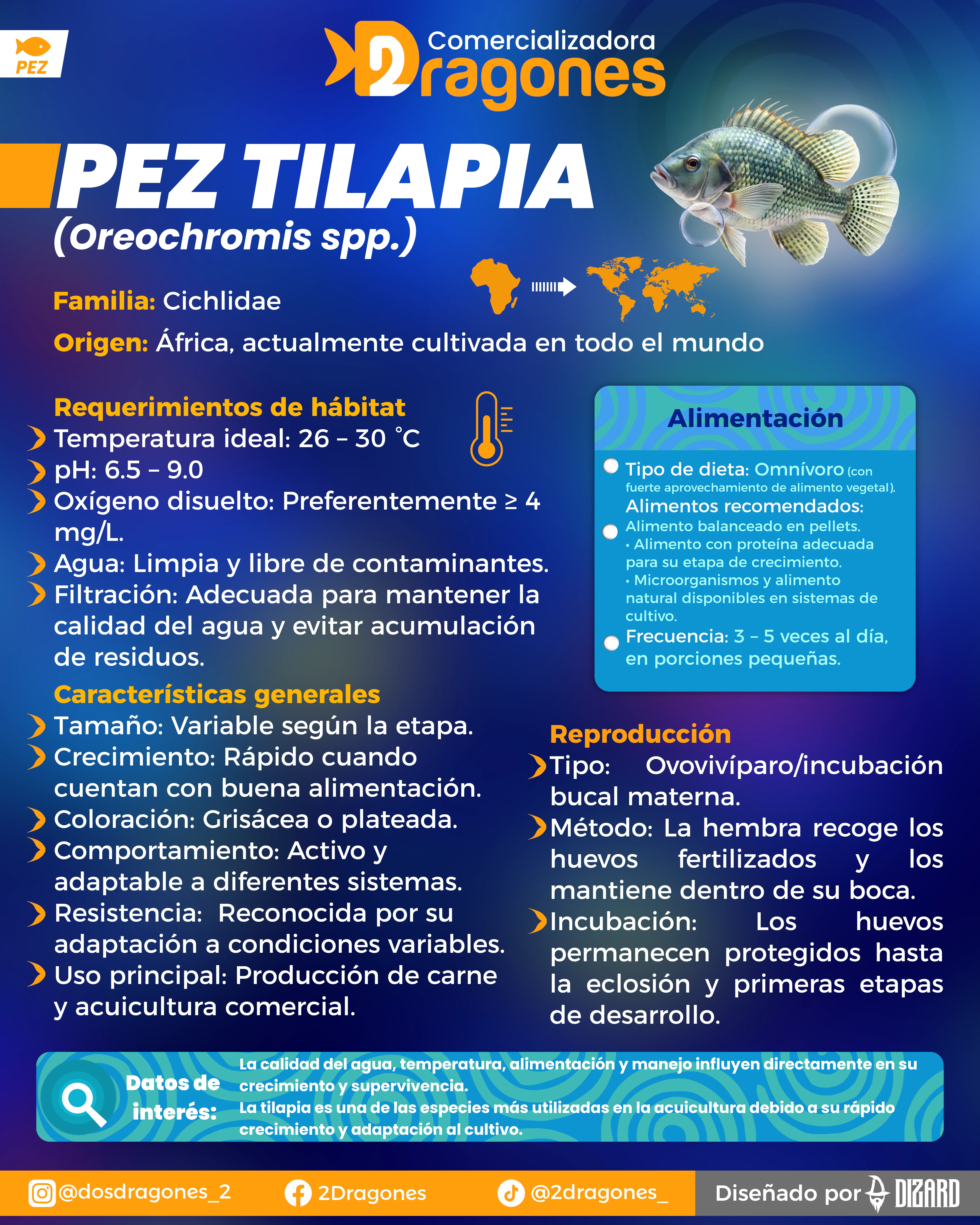 Infografia 4