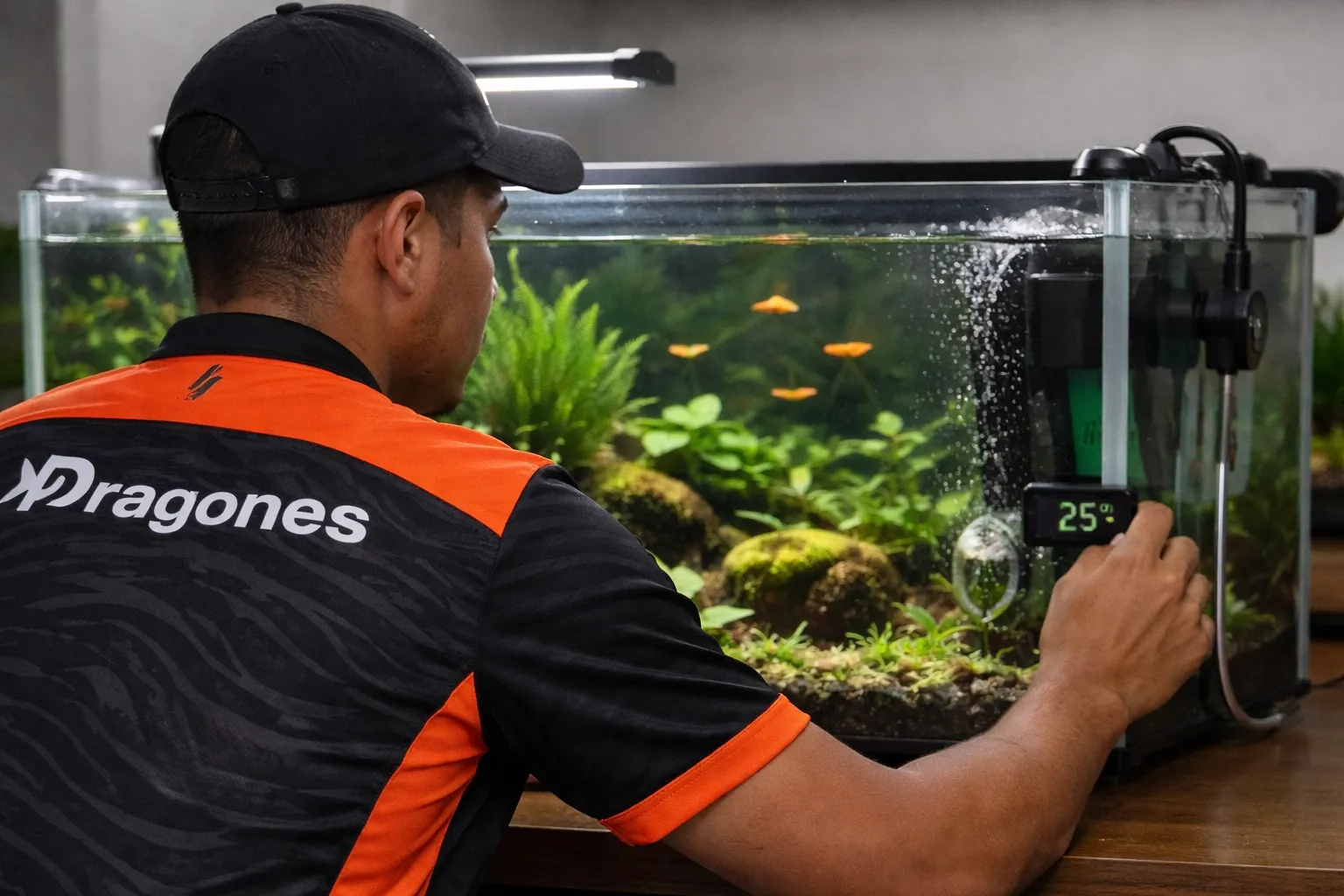 Monitoreo de acuario de agua dulce