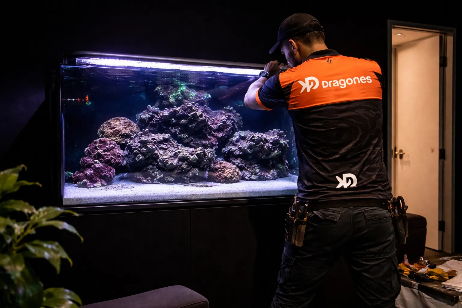 Montaje de acuario de agua dulce